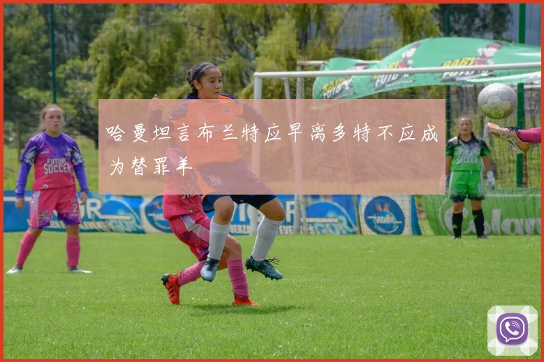 哈曼坦言布兰特应早离多特不应成为替罪羊