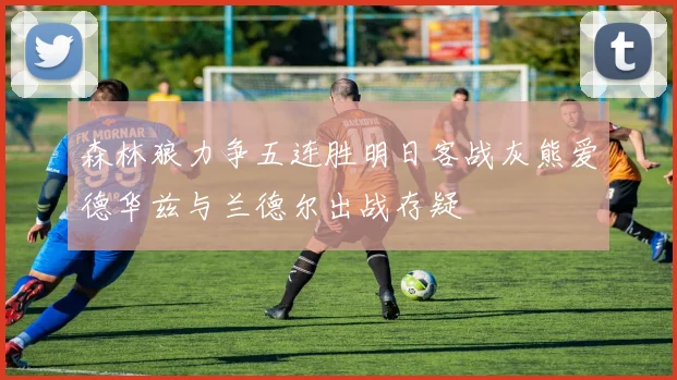 森林狼力争五连胜明日客战灰熊爱德华兹与兰德尔出战存疑